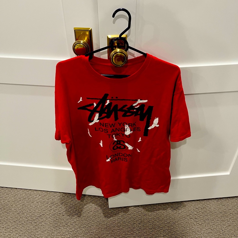 Stussy world tour tee!